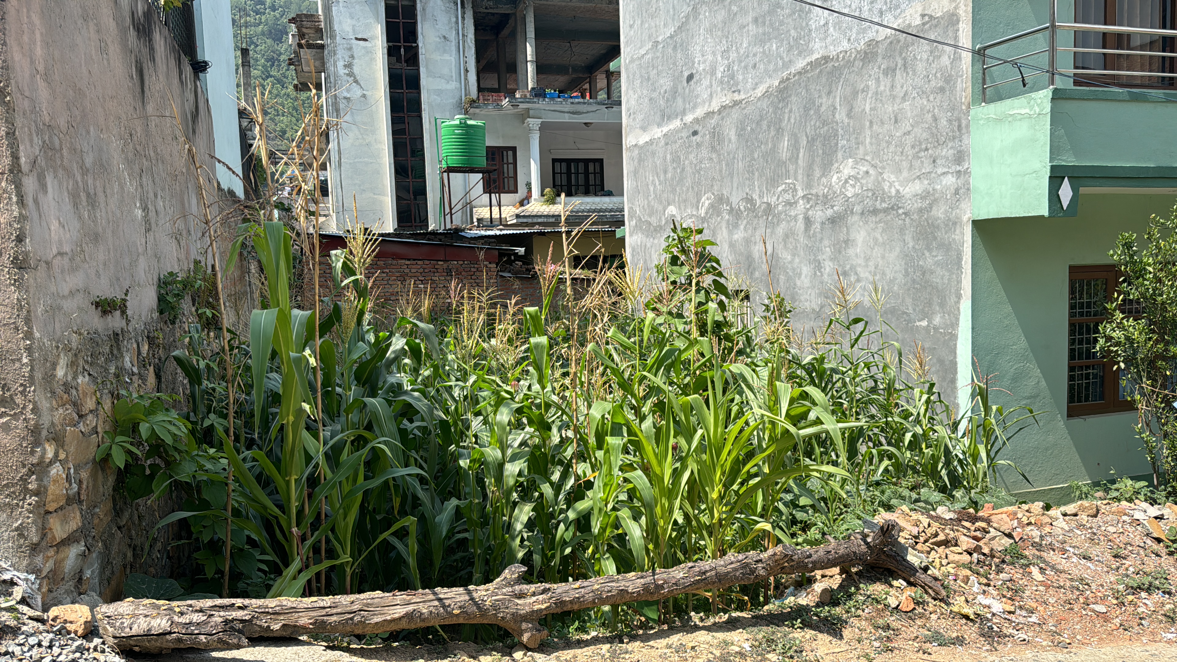 Picture of Nagarjun Municipality, Bagmati